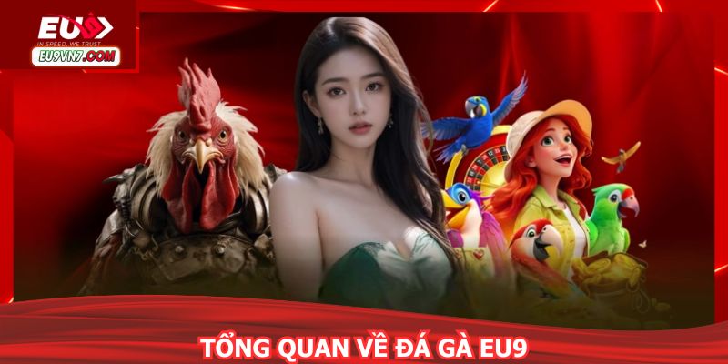 Sảnh đá gà EU9 quy tụ chiến kê xuất sắc tranh tài